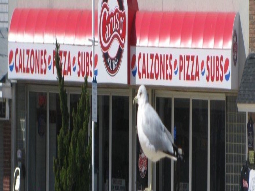 Caruso Pizza Caruso Pizza