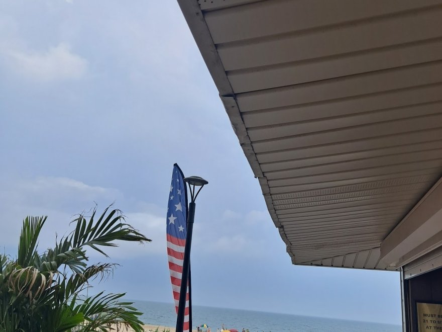 The Jungle Bar & Restaurant The Jungle Bar & Restaurant