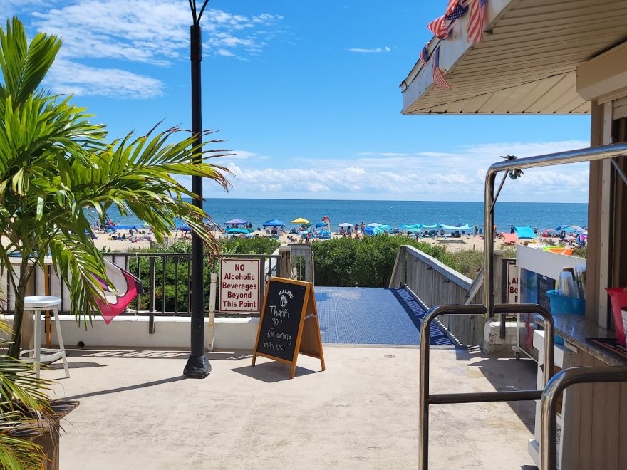 The Jungle Bar & Restaurant The Jungle Bar & Restaurant