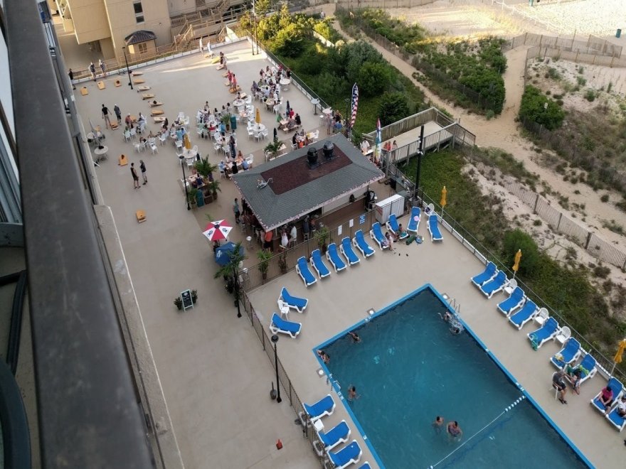 The Jungle Bar & Restaurant The Jungle Bar & Restaurant