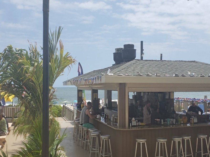 The Jungle Bar & Restaurant The Jungle Bar & Restaurant