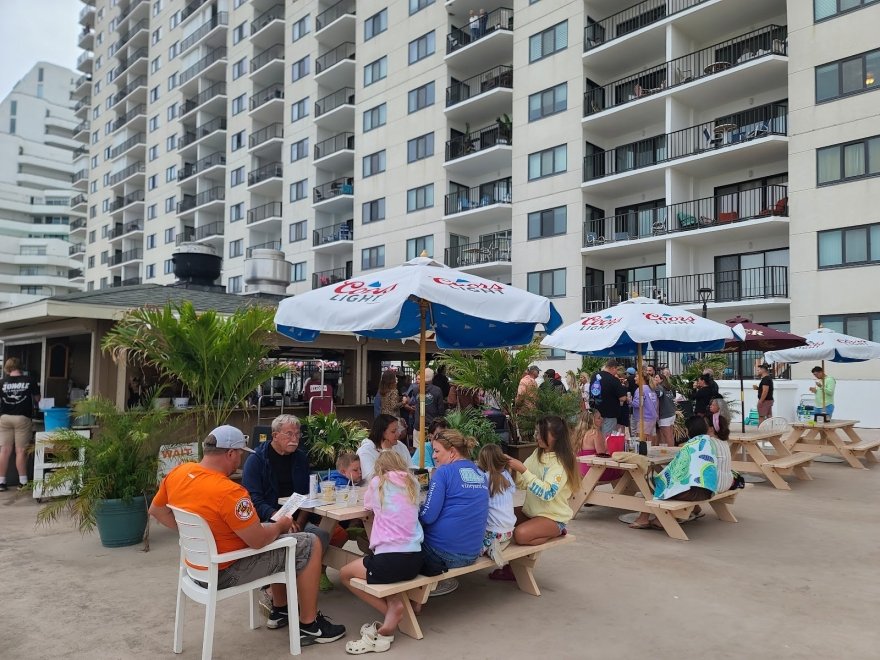 The Jungle Bar & Restaurant The Jungle Bar & Restaurant