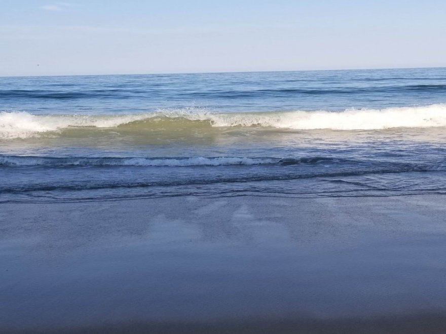 The Jungle Bar & Restaurant The Jungle Bar & Restaurant