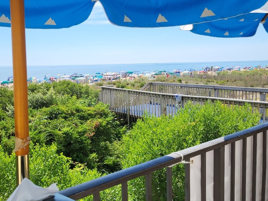 The Jungle Bar & Restaurant The Jungle Bar & Restaurant