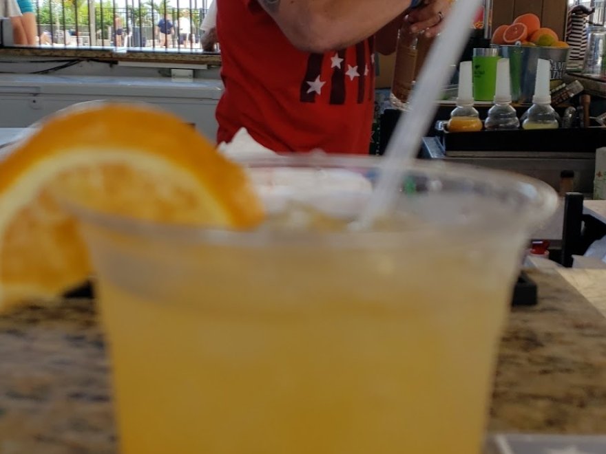 The Jungle Bar & Restaurant The Jungle Bar & Restaurant