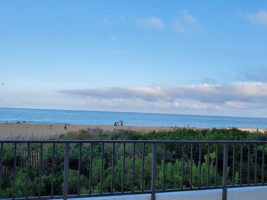 The Jungle Bar & Restaurant The Jungle Bar & Restaurant