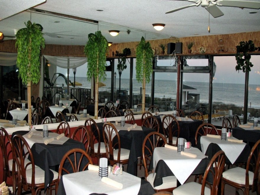 The Jungle Bar & Restaurant The Jungle Bar & Restaurant