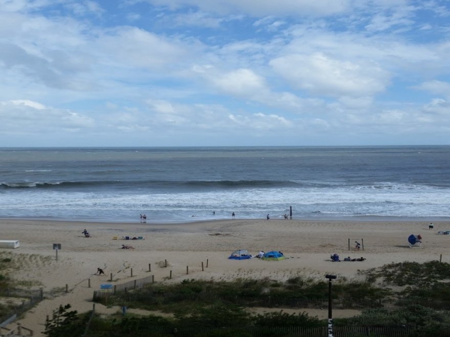 The Jungle Bar & Restaurant The Jungle Bar & Restaurant