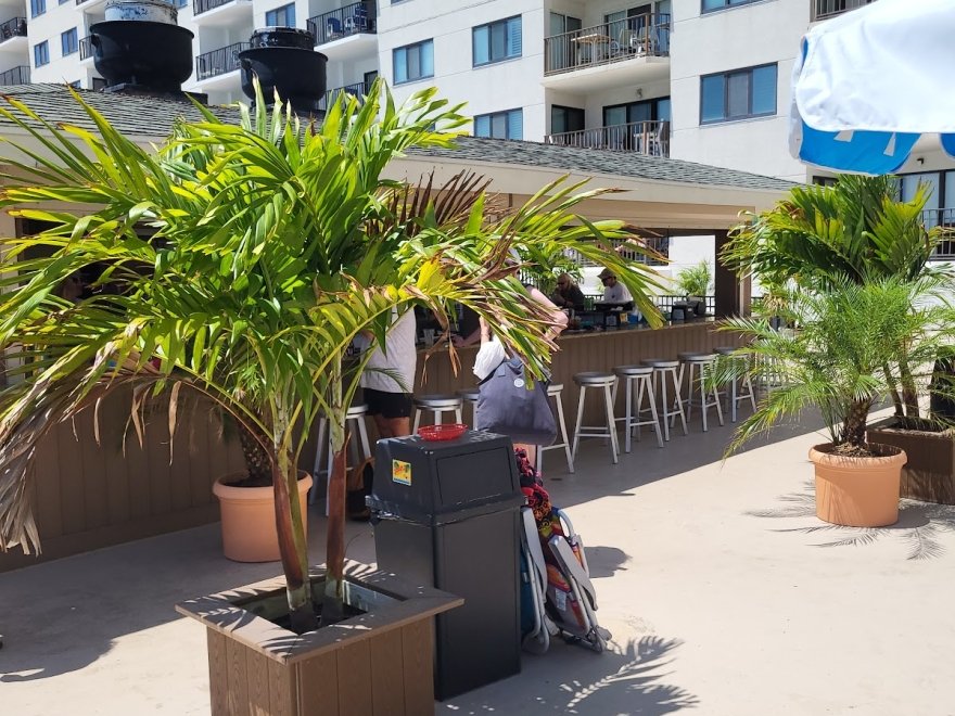 The Jungle Bar & Restaurant The Jungle Bar & Restaurant