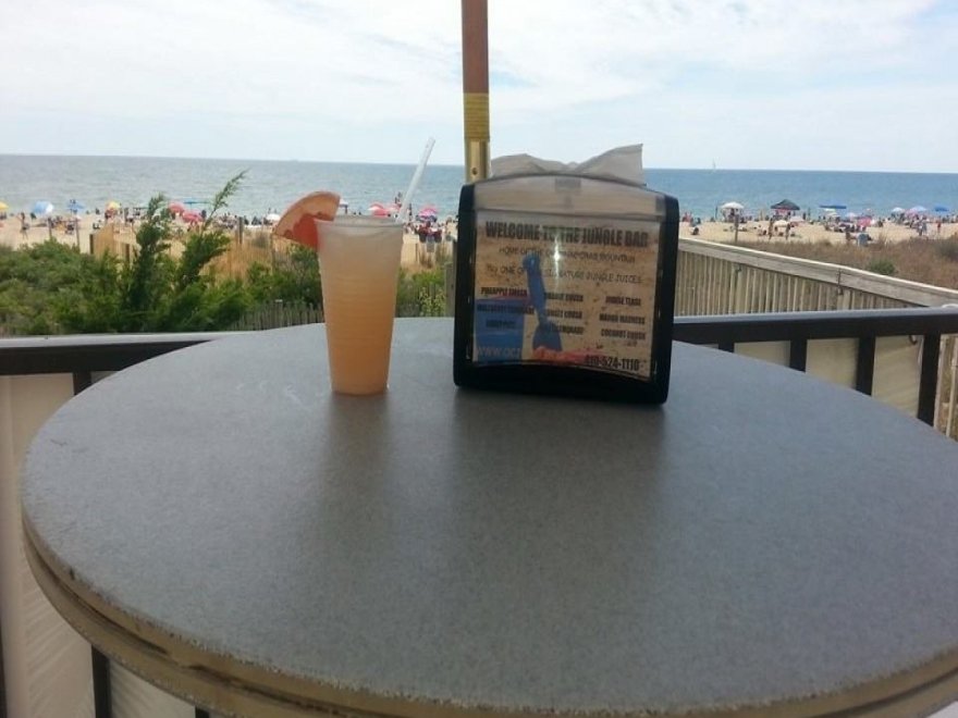 The Jungle Bar & Restaurant The Jungle Bar & Restaurant