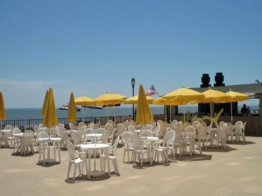 The Jungle Bar & Restaurant The Jungle Bar & Restaurant