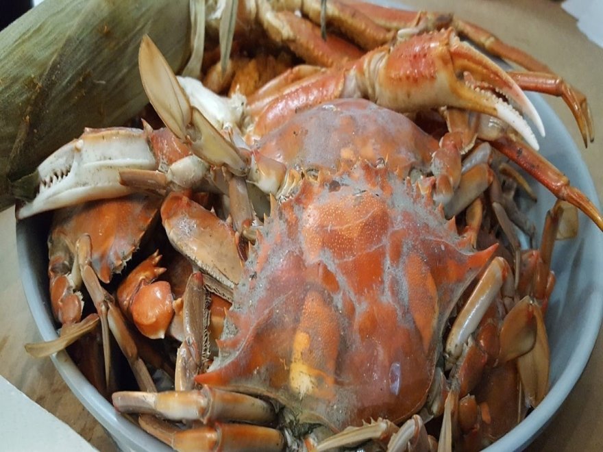 Mug & Mallet Mug & Mallet