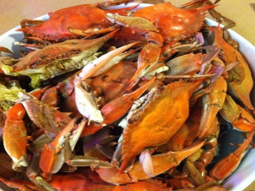 Mug & Mallet Mug & Mallet