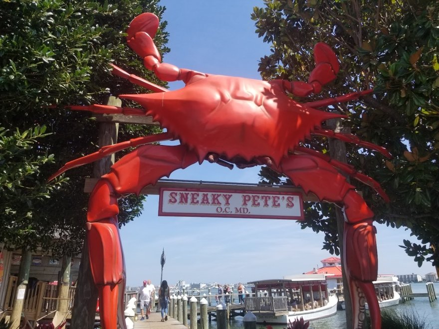 Sneaky Pete's Sneaky Pete's