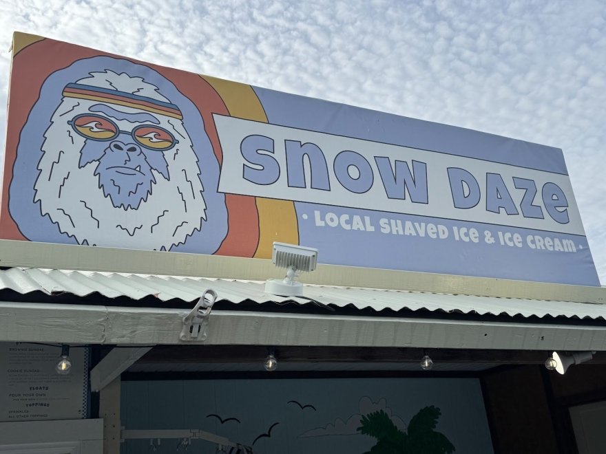 Snow Daze Snow Daze